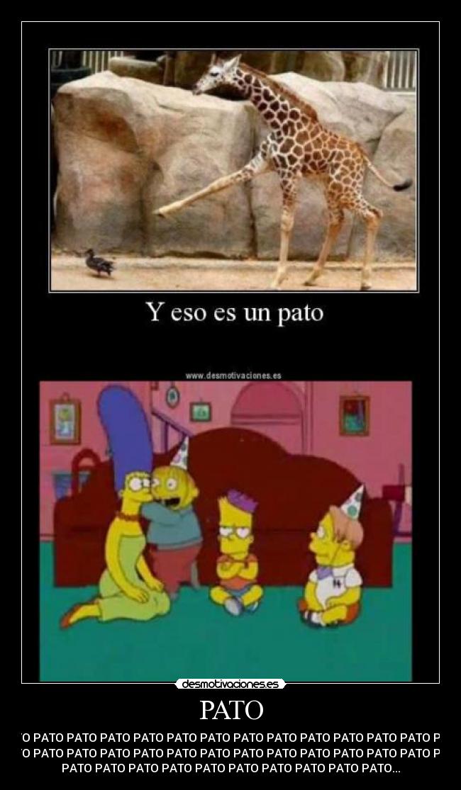 PATO -