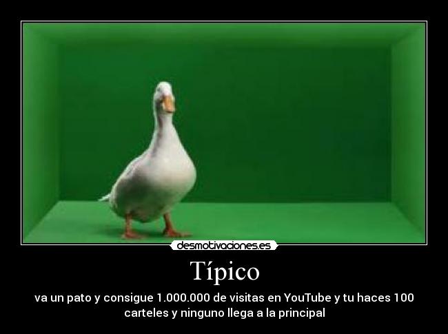 Típico - va un pato y consigue 1.000.000 de visitas en YouTube y tu haces 100
carteles y ninguno llega a la principal