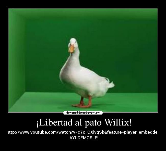 ¡Libertad al pato Willix! - http://www.youtube.com/watch?v=c7c_OXivqSk&feature=player_embedded
¡AYUDEMOSLE!