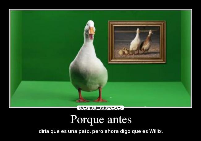 Porque antes - diría que es una pato, pero ahora digo que es Willix.