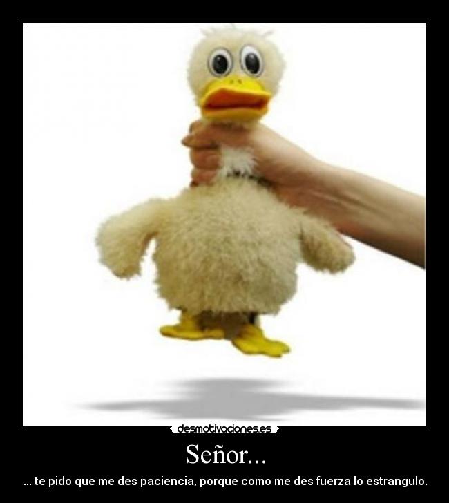 Señor... - ... te pido que me des paciencia, porque como me des fuerza lo estrangulo.