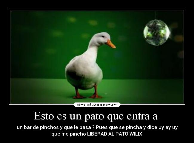 carteles desmotivaciones