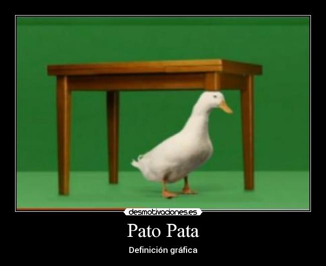 Pato Pata - 