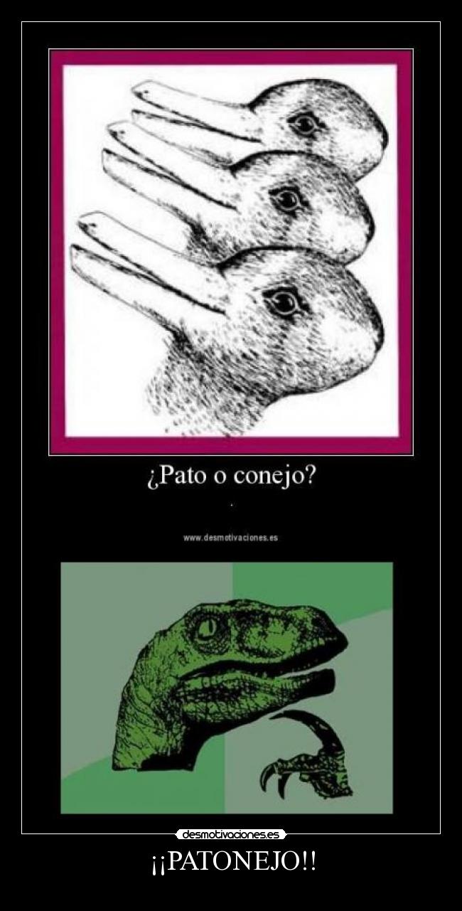 ¡¡PATONEJO!! -