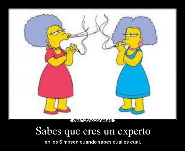 Sabes que eres un experto -