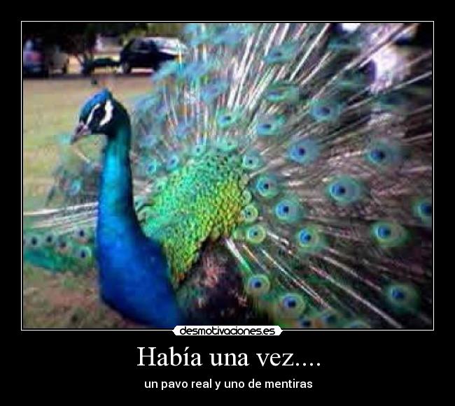 Había una vez.... - un pavo real y uno de mentiras