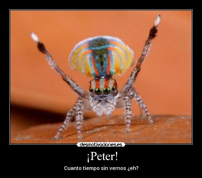 ¡Peter! -