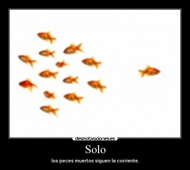 Solo - 