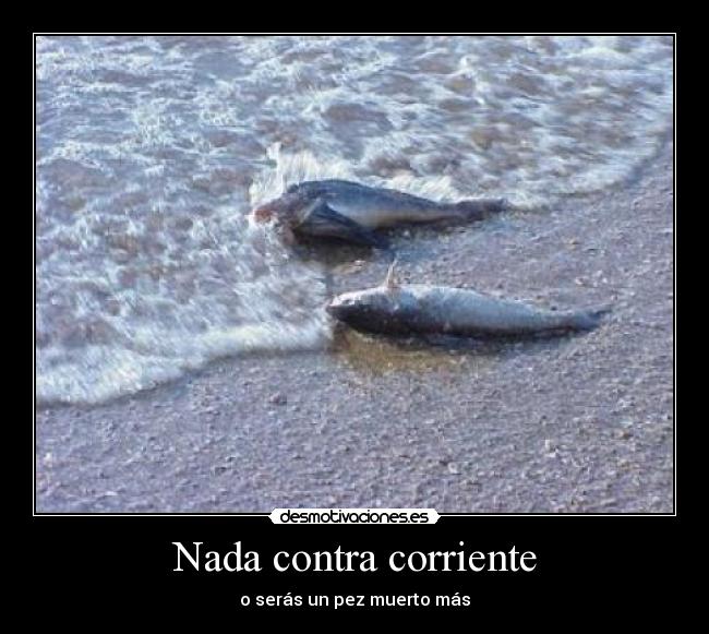 Nada contra corriente - 