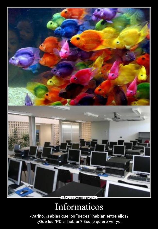Informaticos - -Cariño, ¿sabias que los peces hablan entre ellos?
¿Que los PCs hablan? Eso lo quiero ver yo.