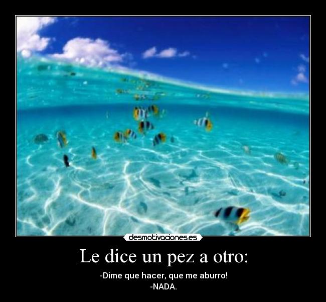 Le dice un pez a otro: - -Dime que hacer, que me aburro!
-NADA.