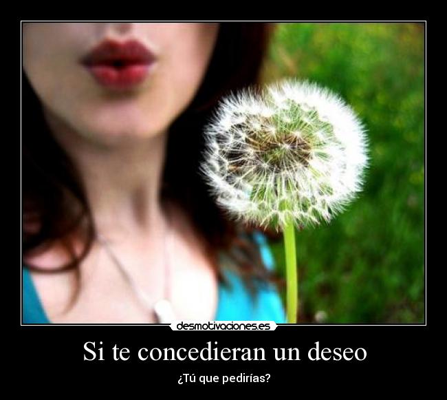 Si te concedieran un deseo - ¿Tú que pedirías?