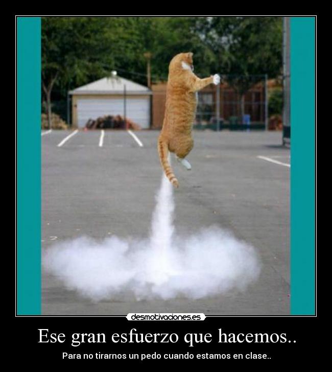 Ese gran esfuerzo que hacemos.. - 