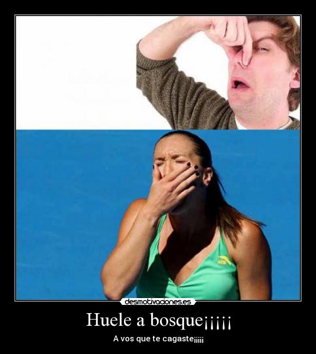 Huele a bosque¡¡¡¡¡ -