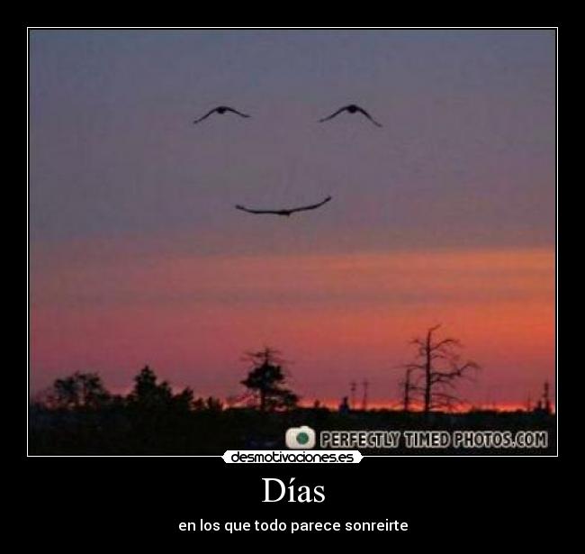Días - en los que todo parece sonreirte