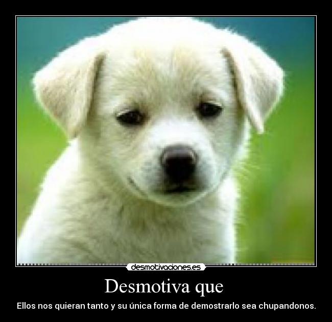 Desmotiva que  - Ellos nos quieran tanto y su única forma de demostrarlo sea chupandonos.