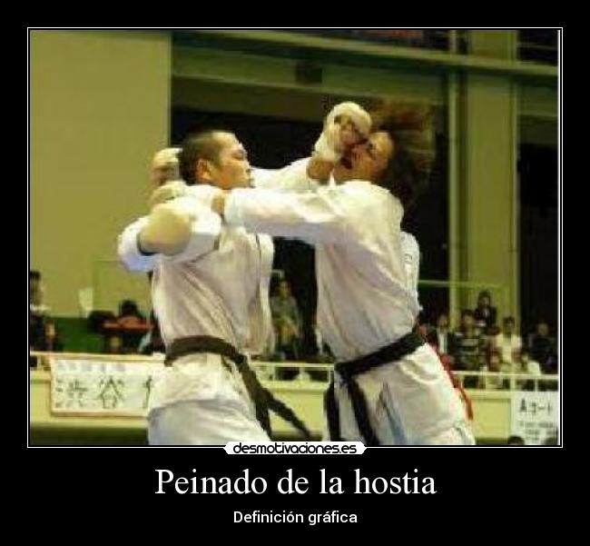 Peinado de la hostia - Definición gráfica