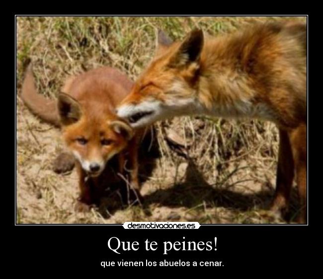 Que te peines! - 