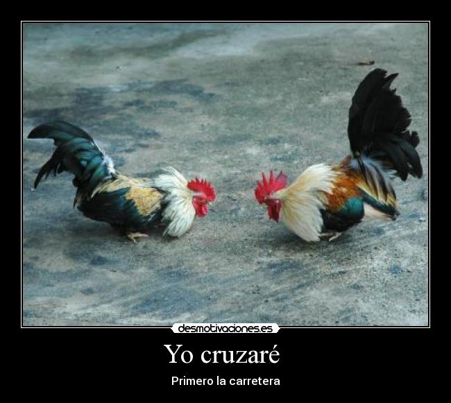 Yo cruzaré  - Primero la carretera