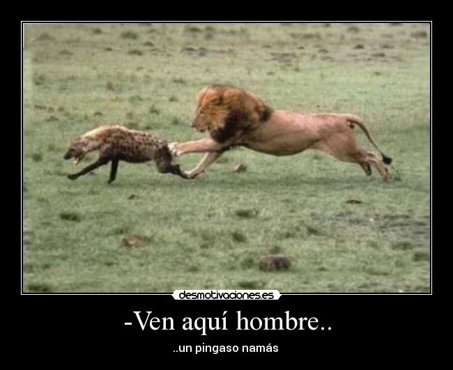-Ven aquí hombre.. - 
