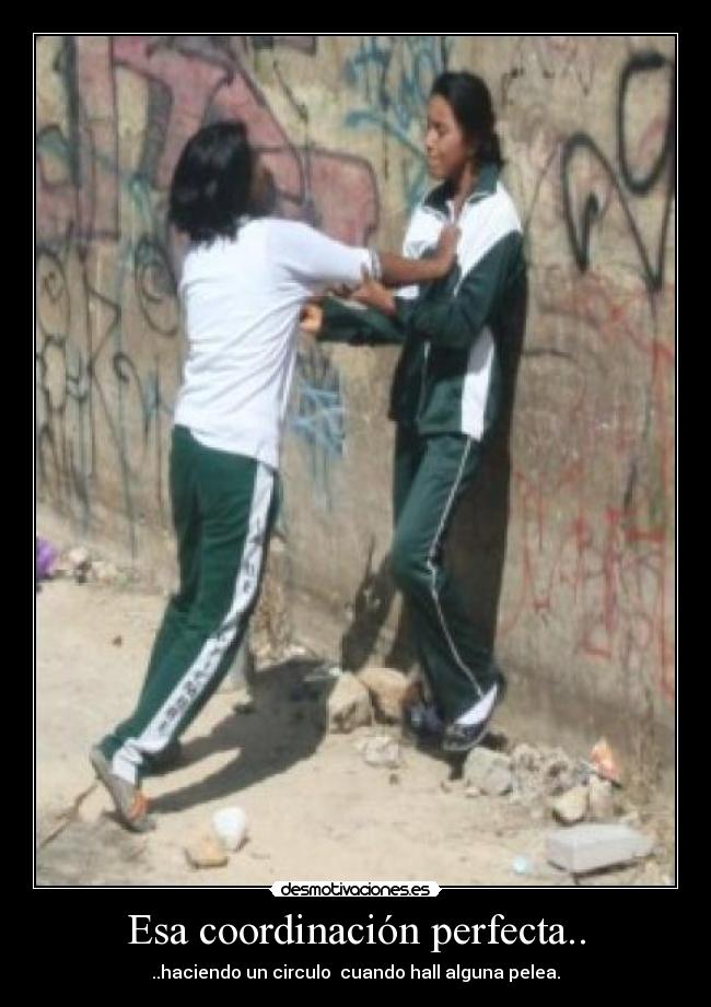 Esa coordinación perfecta.. - ..haciendo un circulo cuando hall alguna pelea.