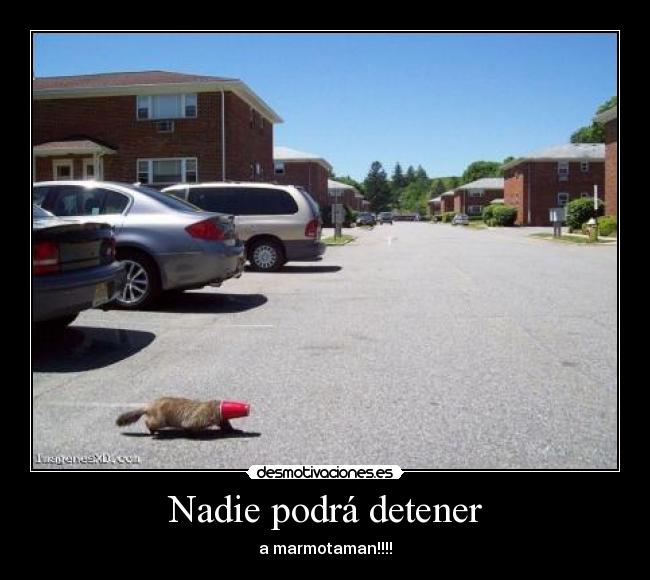 Nadie podrá detener -