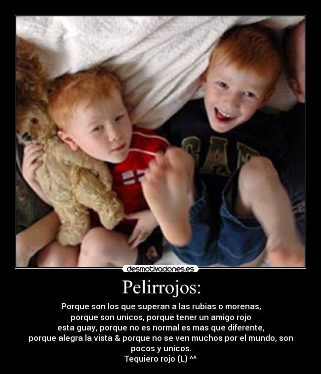 carteles rules desmotivaciones