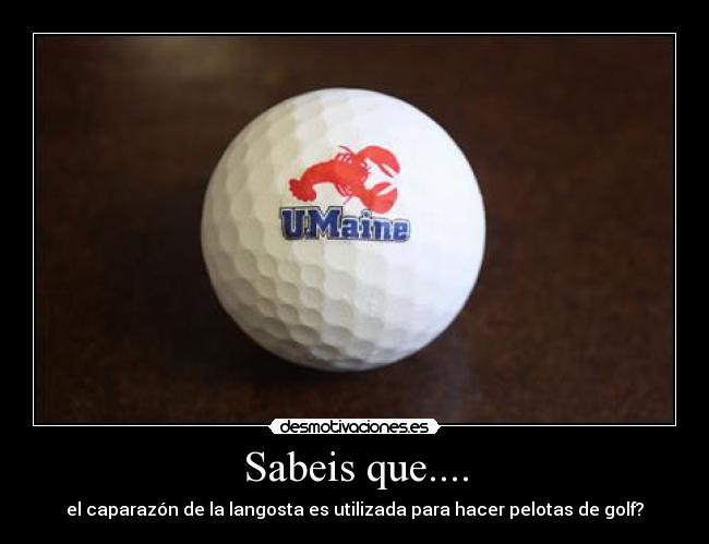 Sabeis que.... - 