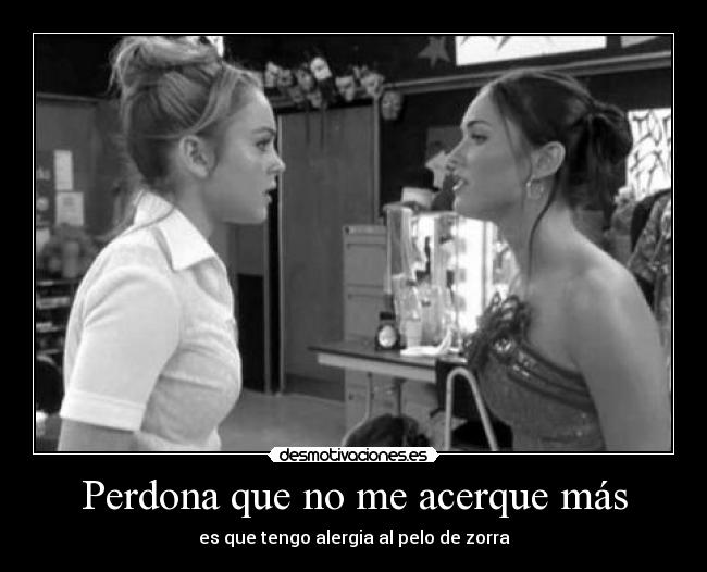 Perdona que no me acerque más - es que tengo alergia al pelo de zorra