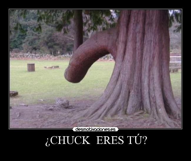 ¿CHUCK  ERES TÚ? - 