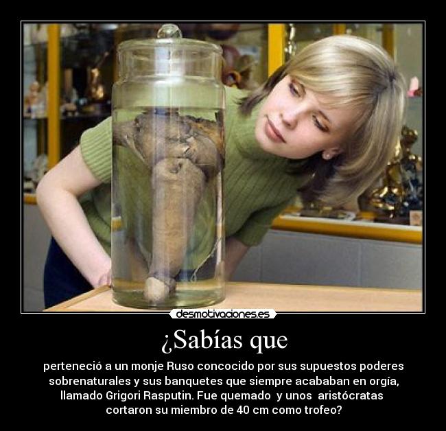 ¿Sabías que - perteneció a un monje Ruso concocido por sus supuestos poderes
sobrenaturales y sus banquetes que siempre acababan en orgía,
llamado Grigori Rasputin. Fue quemado y unos aristócratas
cortaron su miembro de 40 cm como trofeo?