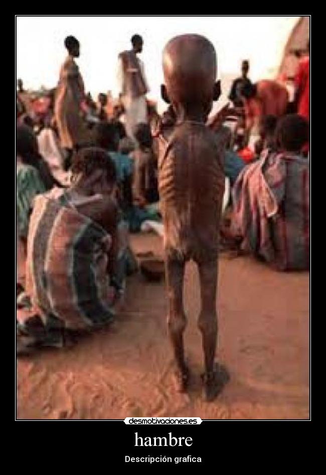 hambre - Descripción grafica