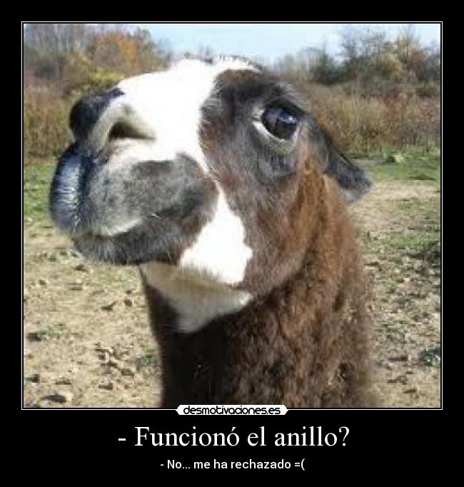 - Funcionó el anillo? - - No... me ha rechazado =(