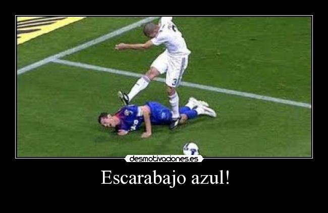 Escarabajo azul! -
