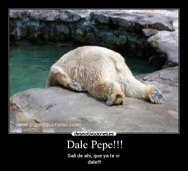 Dale Pepe!!! - Sali de ahi, que ya te vi
dale!!!