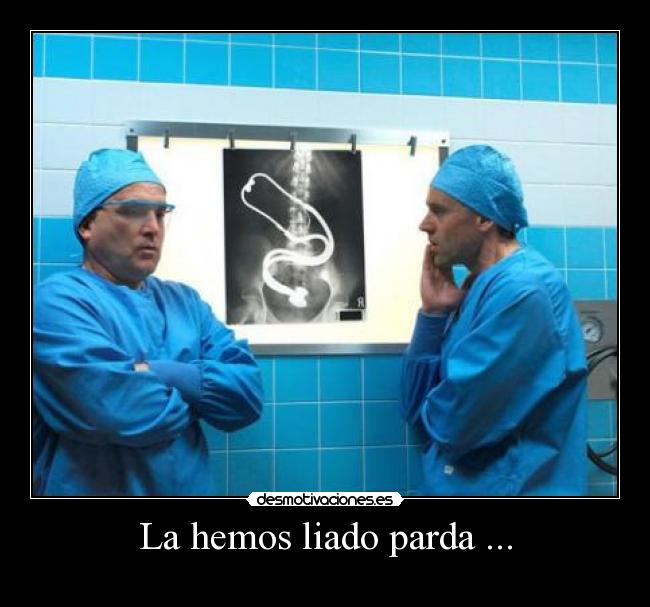 La hemos liado parda ... - 