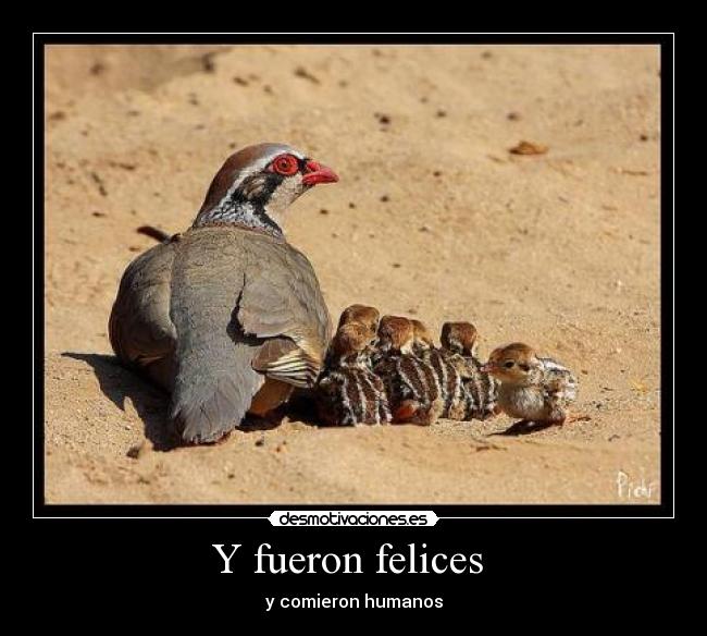 Y fueron felices  - 