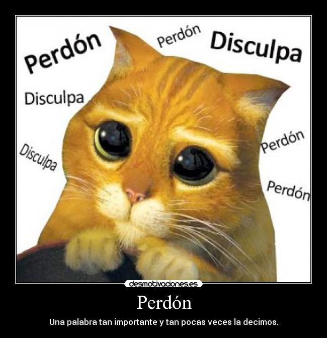 carteles perdon desmotivaciones