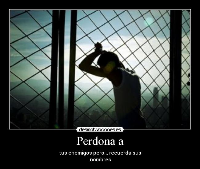 carteles enemigos perdon desmotivaciones
