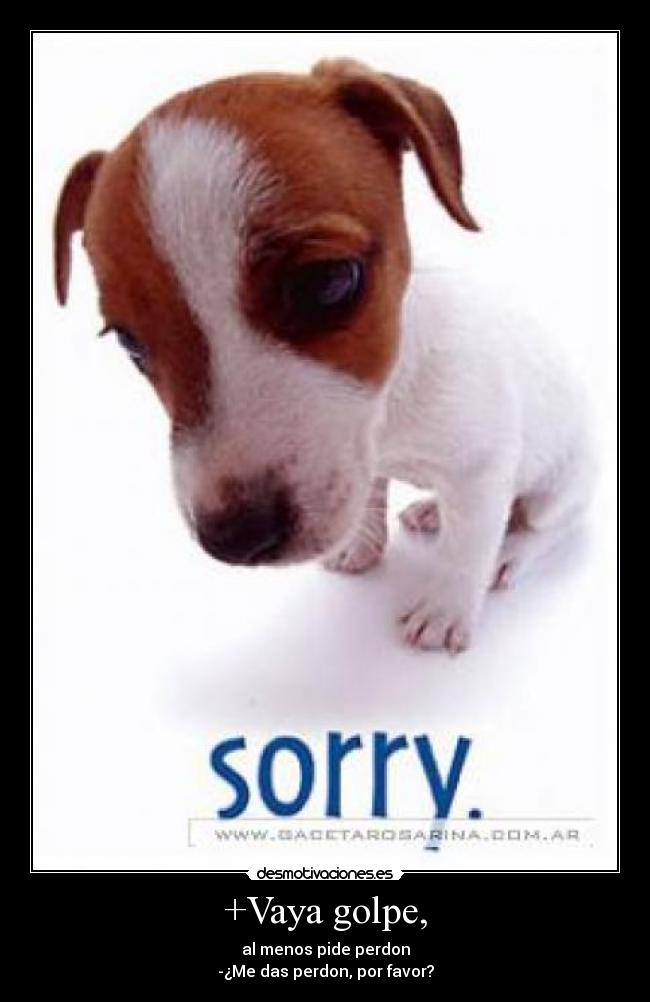carteles perdon desmotivaciones