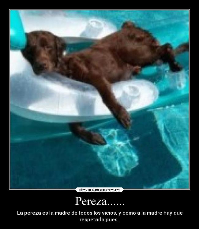 Pereza...... - 