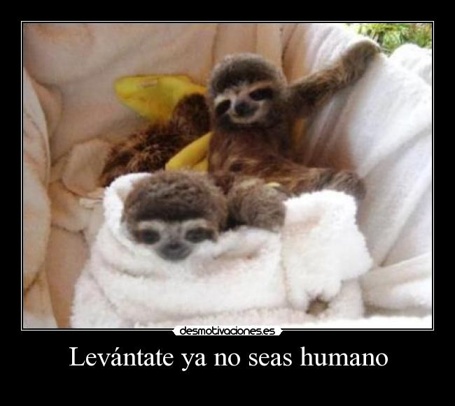 Levántate ya no seas humano -