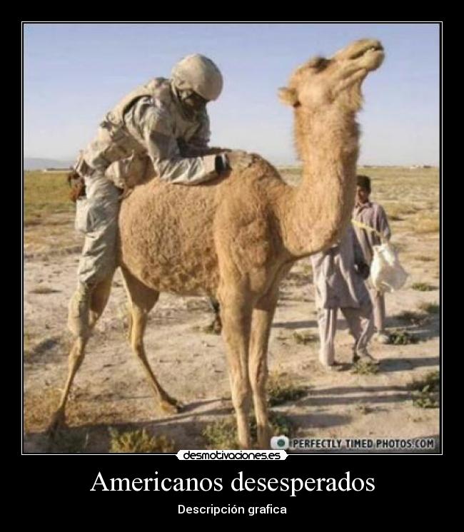 Americanos desesperados - 