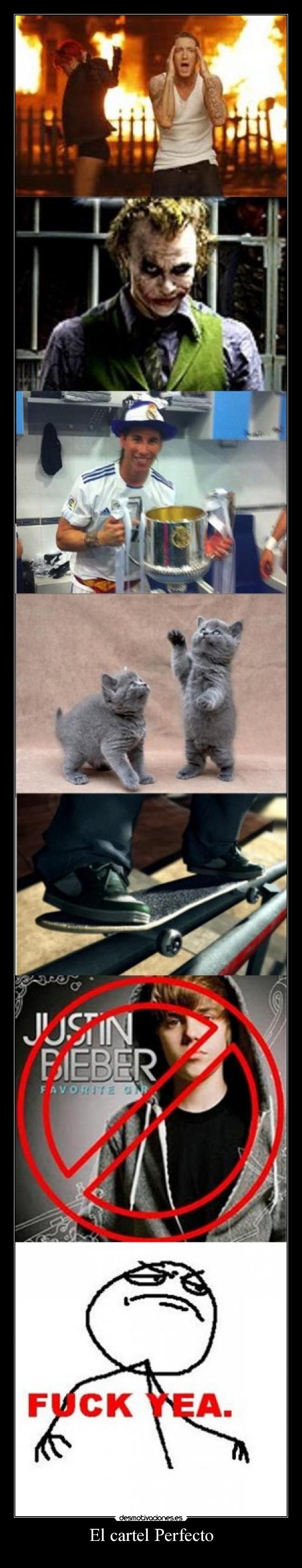 El cartel Perfecto - 