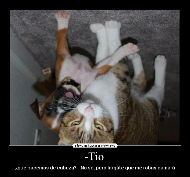 -Tio -