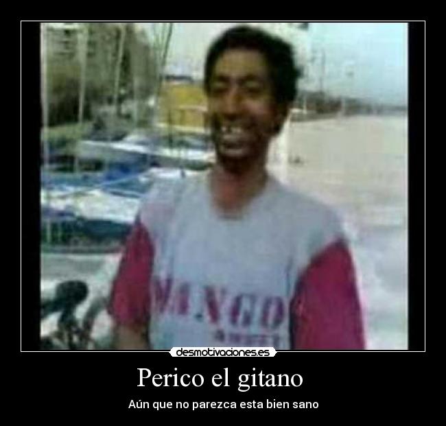 Perico el gitano  - Aún que no parezca esta bien sano