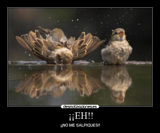 ¡¡EH!! - ¡¡NO ME SALPIQUES!!