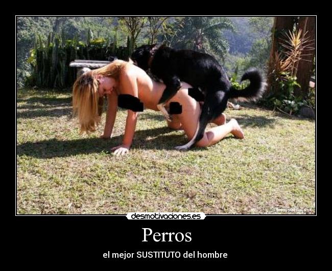 Perros -