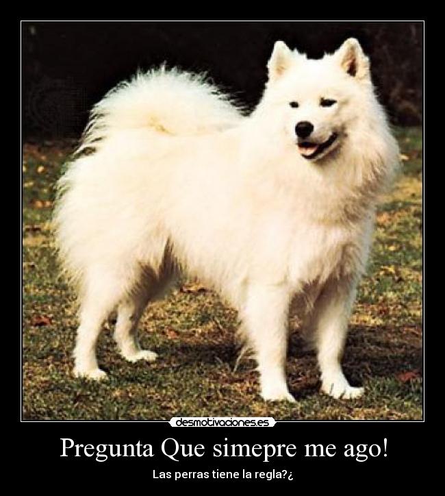 carteles pregunta que siempre ago desmotivaciones