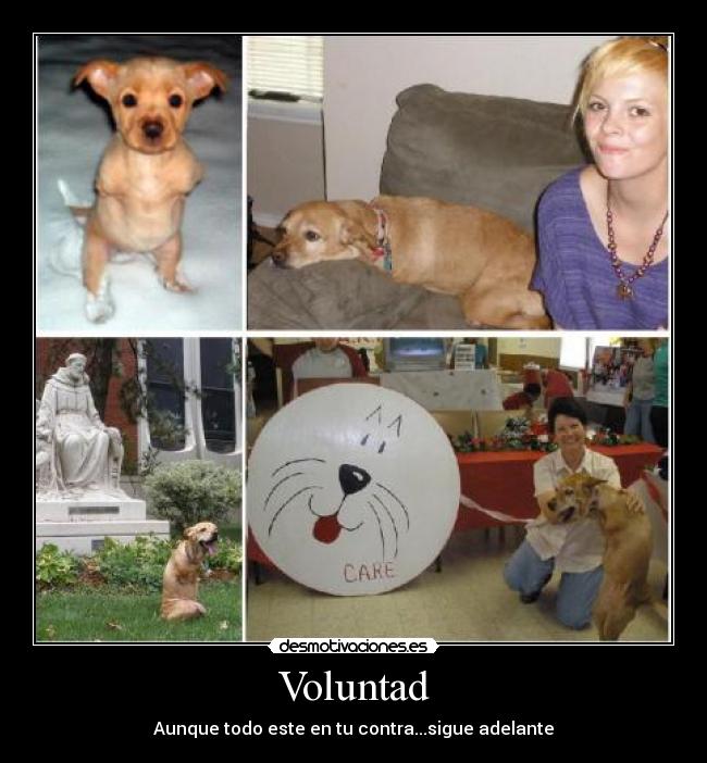 Voluntad - Aunque todo este en tu contra...sigue adelante